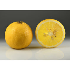 Bergamot