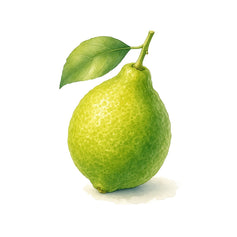 Bergamot