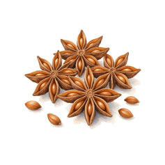 Anise