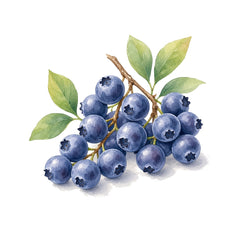 Blueberry