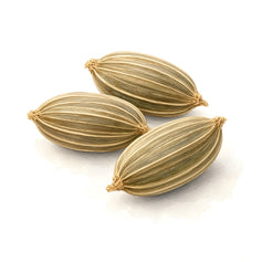 Carrot Seed - 胡蘿蔔籽 - TheFirstScent - Hong Kong