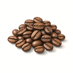 Coffee - 咖啡 - TheFirstScent - Hong Kong