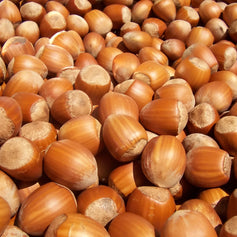 Hazelnut