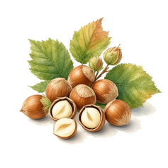 Hazelnut - 榛果 - TheFirstScent - Hong Kong