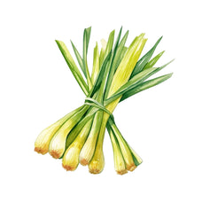 Lemongrass