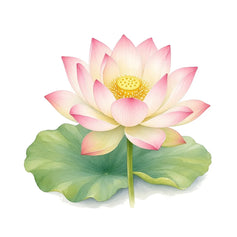 Lotus - 香水 - TheFirstScent - Hong Kong