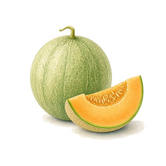 Melon