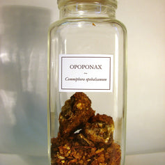 Opoponax
