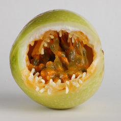 Passionfruit