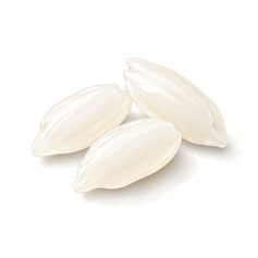 Rice - 米 - TheFirstScent - Hong Kong