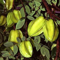 Starfruit