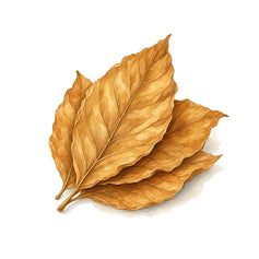 Tobacco