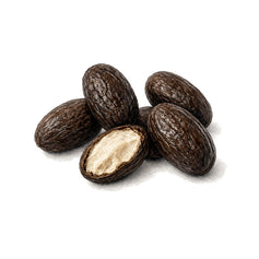Tonka Bean