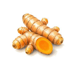 Turmeric - 香水 - TheFirstScent - Hong Kong
