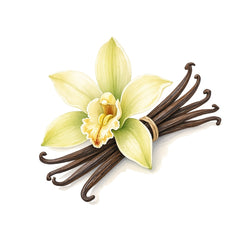Vanilla