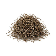 Vetiver