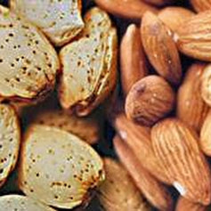 Almond