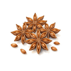 Anise