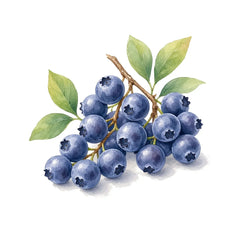 Blueberry