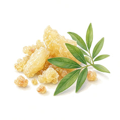 Elemi