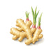 Ginger