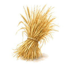Hay