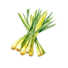 Lemongrass