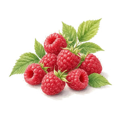 Raspberry