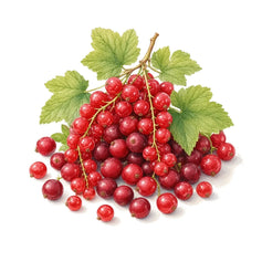 Red Berries