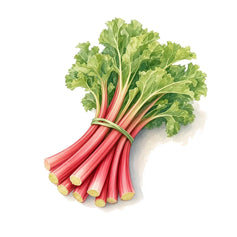 Rhubarb