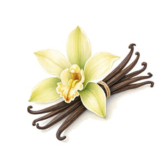 Vanilla