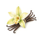 Vanilla