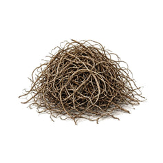 Vetiver