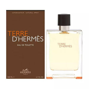 Hermes Terre D'Hermes (M) Edt 100ml - 100ml - TheFirstScent -Hong Kong